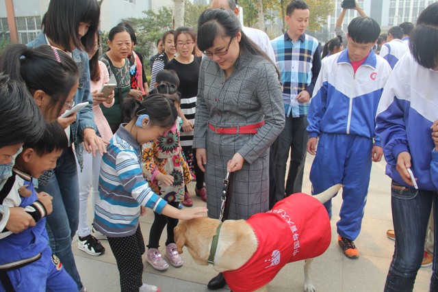 淄博市庆祝第32个“国际盲人节”座谈会在我校召开