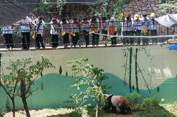 市特教中心的孩子们与大熊猫一起过“六一”
