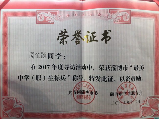 我校国金颖同学荣获2017淄博市”最美中学生标兵”荣誉称号